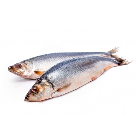 Сельдь тушка с/м, весовая Сельдь тушка с/м, весовая