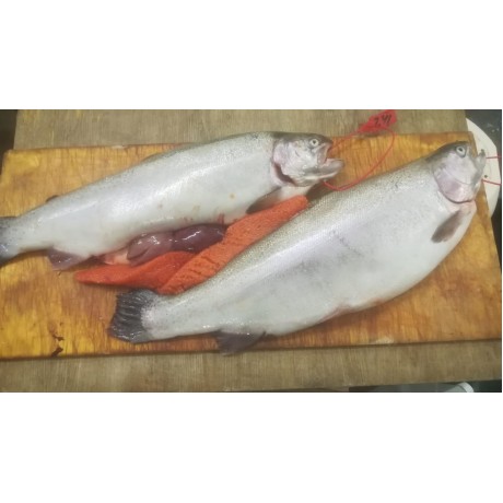 Форель охлажденная непотрошеная (весовая) кг Форель охлажденная непотрошеная (весовая) кг