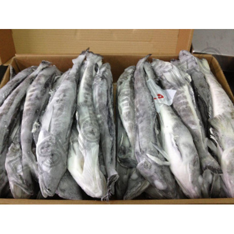 ЛЕДЯНАЯ, -250, тушка с/м с головой, не потрошеная 5 кг кор ЛЕДЯНАЯ, -250, тушка с/м с головой, не потрошеная 5 кг кор