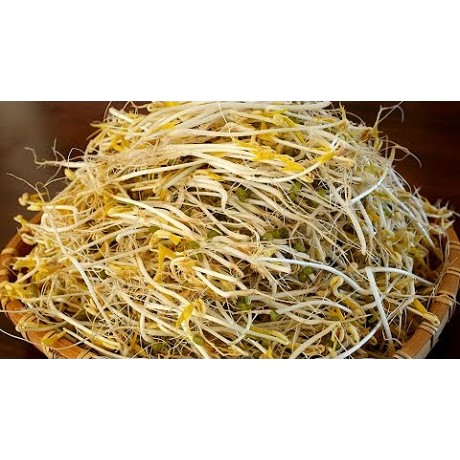 Проростки бобов(маш),250грамм Проростки бобов(маш),250грамм