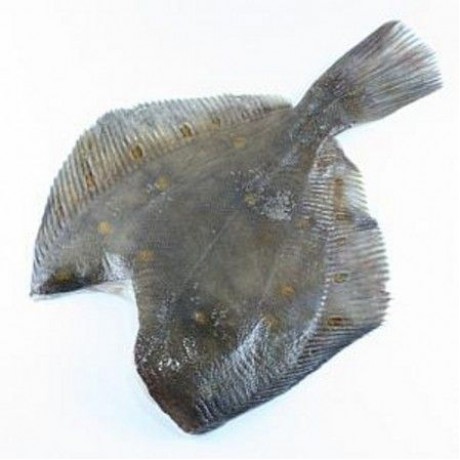 Камбала б/г ж/п кусок кор. 1кг