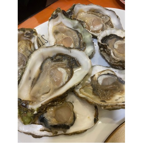 УСТРИЦЫ на полустворке замороженные – калибр 150-250г (с/м) УСТРИЦЫ на полустворке замороженные – калибр 150-250г (с/м)