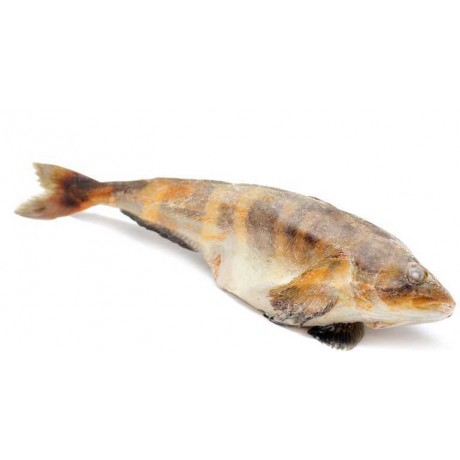 Терпуг с\м упак. (весовая) Терпуг с\м упак. (весовая)