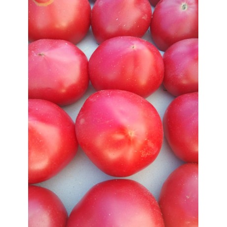 Помидоры азербайджанские розовые, 1 кг Помидоры азербайджанские розовые, 1 кг