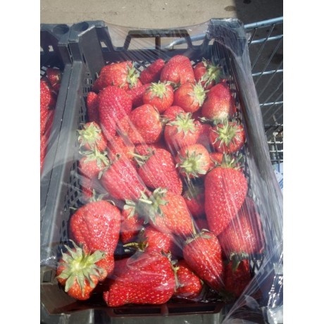 Клубника свежая, лоток Клубника свежая, лоток