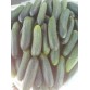 Огурцы свежие, 1 кг