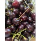Черешня крупная, 1 кг