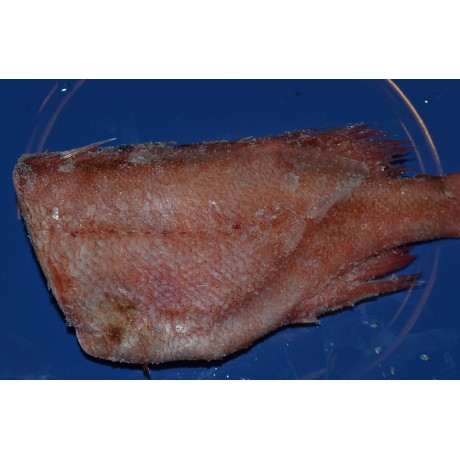 Окунь морской б/г, 3 кг кор. Окунь морской б/г, 3 кг кор.