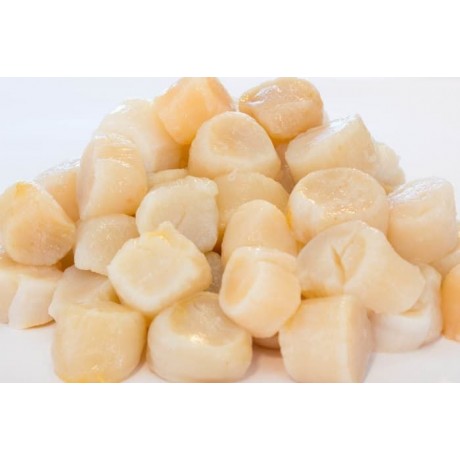 Морской гребешок, 0,5 кг упак. Морской гребешок, 0,5 кг упак.