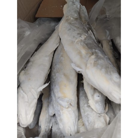 Навага тушка с головой 2 кг Навага тушка с головой 2 кг