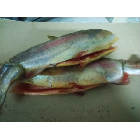 Форель холодного копчения 0,8-1,2кг Форель холодного копчения 0,8-1,2кг