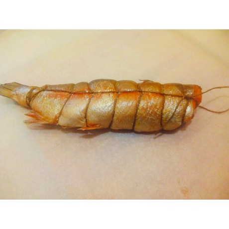 Форель г/к (весовой) Форель г/к (весовой)