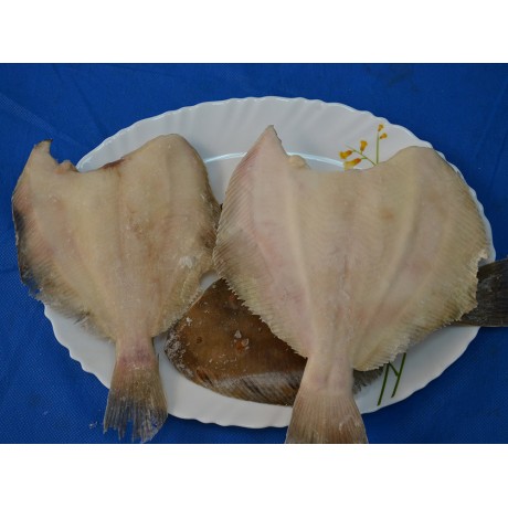 Камбала АТЛАНТИЧЕСКАЯ пбг с/м 0,3-0,5, 3 кг Камбала АТЛАНТИЧЕСКАЯ пбг с/м 0,3-0,5, 3 кг