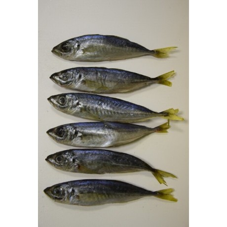 СТАВРИДА в/у 1 кг СТАВРИДА в/у 1 кг