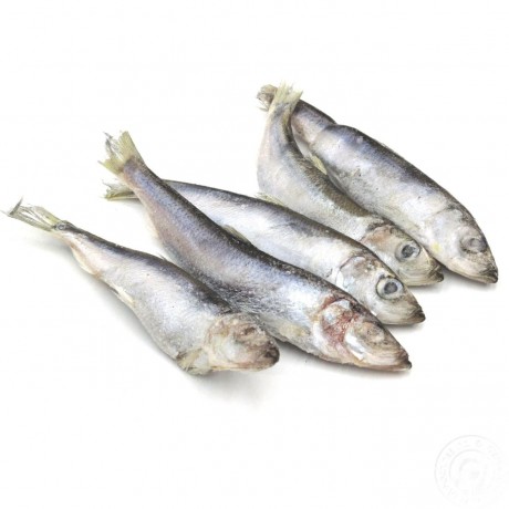 Салака с/м упак 2кг Салака с/м упак 2кг