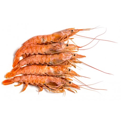 Креветка аргентинская /ЛАНГУСТИНЫ/, целая, (L1) 10/20 2 кг кор. Креветка аргентинская /ЛАНГУСТИНЫ/, целая, (L1) 10/20 2 кг кор.