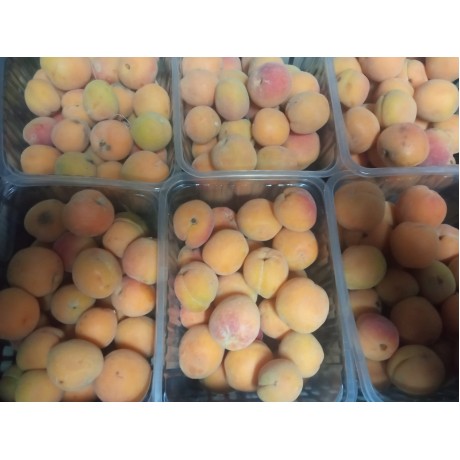 Абрикос, 1 кг Абрикос, 1 кг